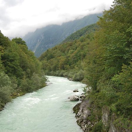 Apartment House Cviter Bovec Zewnętrze zdjęcie